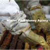 Austin Honey | Local Bee Honey (Allergy Season)