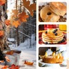 4 Pcs Maple Tree Syrup Tapping Kit, Including 4 Stainless