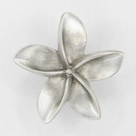 Costello Coastal - Plumeria Cabinet Knobs 2-Pack (Small)| Frangipani Flower Drawer Knobs | Designer Pewter Collection Hardware