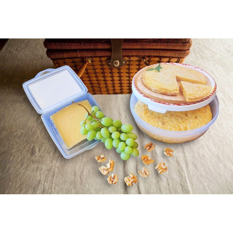Mypicompany. Set of 2 Cheese Containers - Clear Plastic Food
