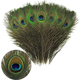 15Pcs Peacock Feathers, Natural Large Peacock Feathers, Peacock Feathers Long,Peacock Tail Feather for Wedding, Christmas Party Decoration,Vase Decoration Feathers,Peacock Costume, DIY Art & Craft.