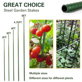 Sprigra Plant Stakes 6ft, Steel Garden Stakes 6 Feet 25 Pack, Sturdy Plant Support for Climbing Plants, Tomatoes, Beans, Cucumbers, Peppers, Flowers, Potted, Strengthen and Stem to Grow Better