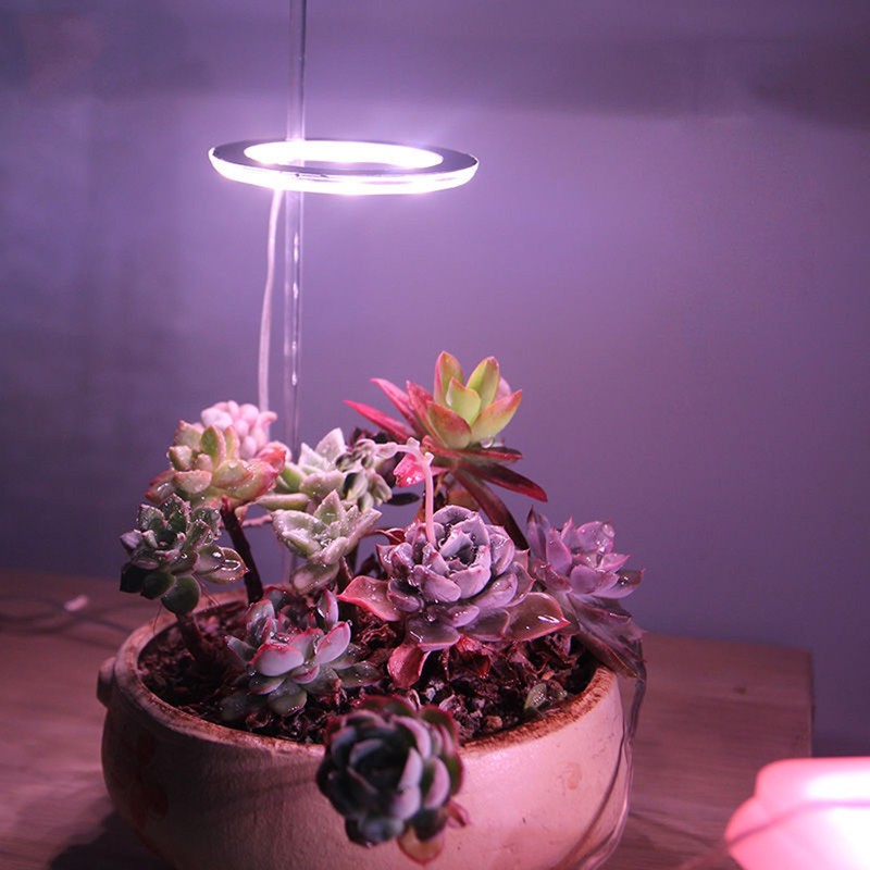 LED Plant Grow Light 5 Dimmable Modes 4 Head Timing
