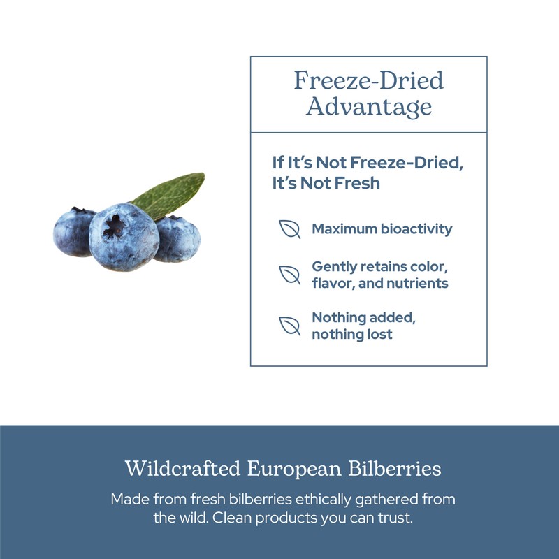 Eclectic Herb - Bilberry Capsules | Vision Health, Cardiovascular Support