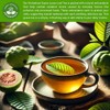 HERBALISTA - Té de hojas de guayaba enteras de cosecha