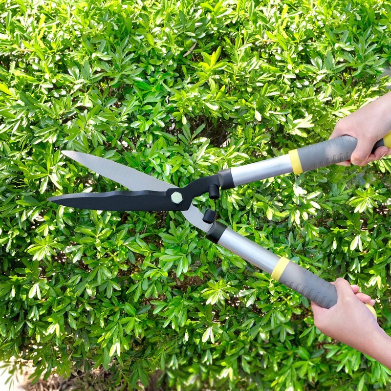 Colwelt Hedge Clippers 21'', Hedge Shears for Trimming Borders, Boxwood,