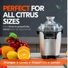 Eurolux Hands-Free Electric Citrus Juicer Machine, Orange Lime Grapefruit Lemon