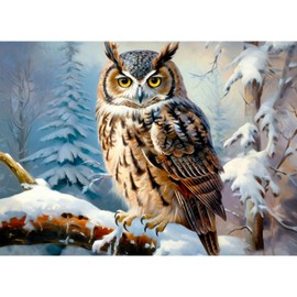NAIMOER Diamond Painting Owl, Diamond Painting Adult Diamond Painting Winter Adult Pictures Animals Diamond Painting Children 5D Diamond Painting Embroidery for Home Decor (30 x 40 cm)