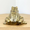 Alfie Francis Gold Frog Ornament Statue Home Shelf Decor Sculpture