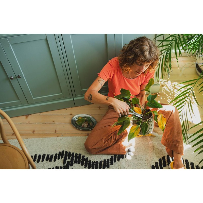 Fiskars Plant Shears with Holder