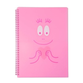 Barbapapa Greeting Life BBZ-192 Clear File Book Face
