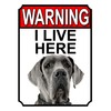WARNING I LIVE HERE METAL GATE SIGN GREAT DANE THEME