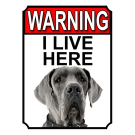 WARNING I LIVE HERE METAL GATE SIGN GREAT DANE THEME 200MM X 150MM (1337H1)
