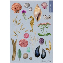 myNOTES Papeterie: Notizheft Naturschätze: Muscheln & Meer | Heft liniert A5, maritimes Design, für Notizen und gute Ideen unterwegs