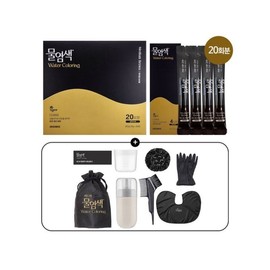 Seedbee Water-based Vegan Gray Hair Dye Wine Brown 20-Paint Supply + Dyeing Tools / 씨드비 물염색 비건 새치 염색약 와인브라운 20회분+염색도구