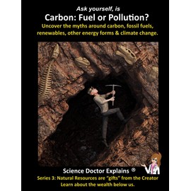 Carbon: Fuel or Pollution?: Uncover the myths around carbon, fossil fuels, renewables, other energy forms & climate change.