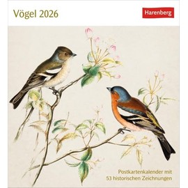 Vögel Postkartenkalender 2026 - Postkartenkalender mit 53 historischen Zeichnungen: Tischkalender mit Retro-Illustrationen. Schönes Geschenk für Kunst- und Naturliebhaber. 16 x 17,5 cm