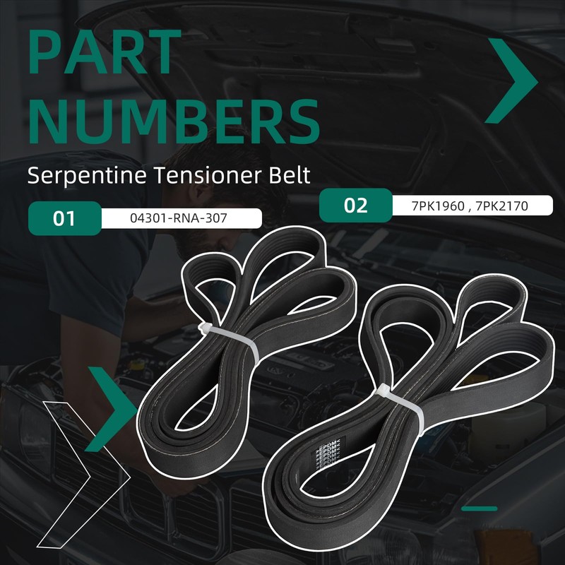Riyhch 90K-39077 Complete Tensioner Pulley Assembly with 2 Serpentine Belts