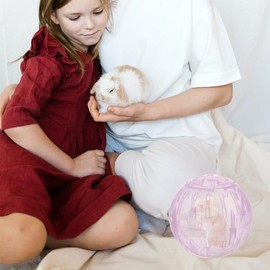 POPETPOP 2pcs Hamster Exercise Ball, 4 Inch Hamster Running Ball Transparent Plastic Hamster Ball Wheel Guinea Pig Sports Ball for Dwarf Hamsters Small Pets Supply