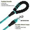 jenico Rope Dog Leash 8FT: Heavy Duty Leashes with Swivel
