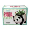 Streamline Imagined Panda Planter