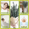 41 PCS Dried Preserved Eucalyptus Bundle for Shower-17'' Real Large