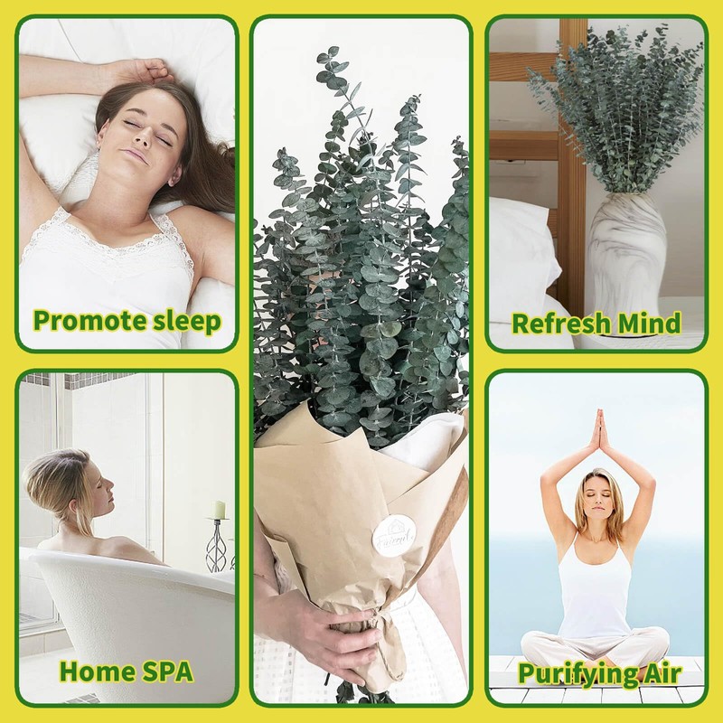 41 PCS Dried Preserved Eucalyptus Bundle for Shower-17'' Real Large