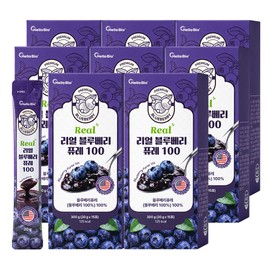 Hello Bio Real Blueberry Puree 100 300g, 15 sachets, 8 pieces / 헬로바이오 리얼 블루베리 퓨레 100 300g, 15포, 8개