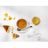 Ronnefeldt LeafCup Wellness - Herbal Infusion Tea Loose Leaf, 15