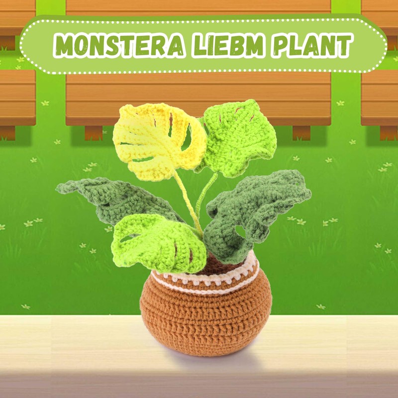 ENCHOL Beginner Crochet Kit, Complete Crochet Kits for Starters Adults