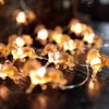 Lindas luces decorativas de hadas, regalos de caballo para mujeres,
