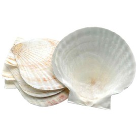 Fox Run Natural Baking Shells
