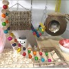 Hamiledyi Hamster Hanging Hammock Basket 3 Piece Wooden Rat Ladder