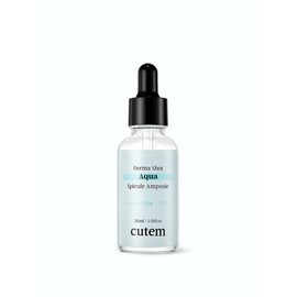 Derma Shot Aqua Spicul Ampoule 30ml / 더마 샷 아쿠아 스피큘 앰플 30ml