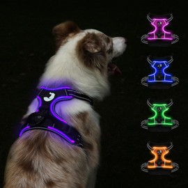 Taglory Light Up Dog Harness, Rechargeable No Pull Dog Vest with 3 Lightning Modes, Reflective Dog Harness with 2 Leash Clips & 4 Adjustable Slide Strips for Medium Dogs, Black-Purple, M