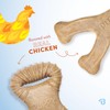 Benebone Puppy 2-Pack Dental Chew/Wishbone Chicken Small