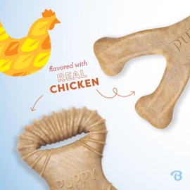 Benebone Puppy 2-Pack Dental Chew/Wishbone Chicken Small