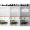 Dosyu Ventilador de Techo con Luz Led Ajustable 3 Velocidades