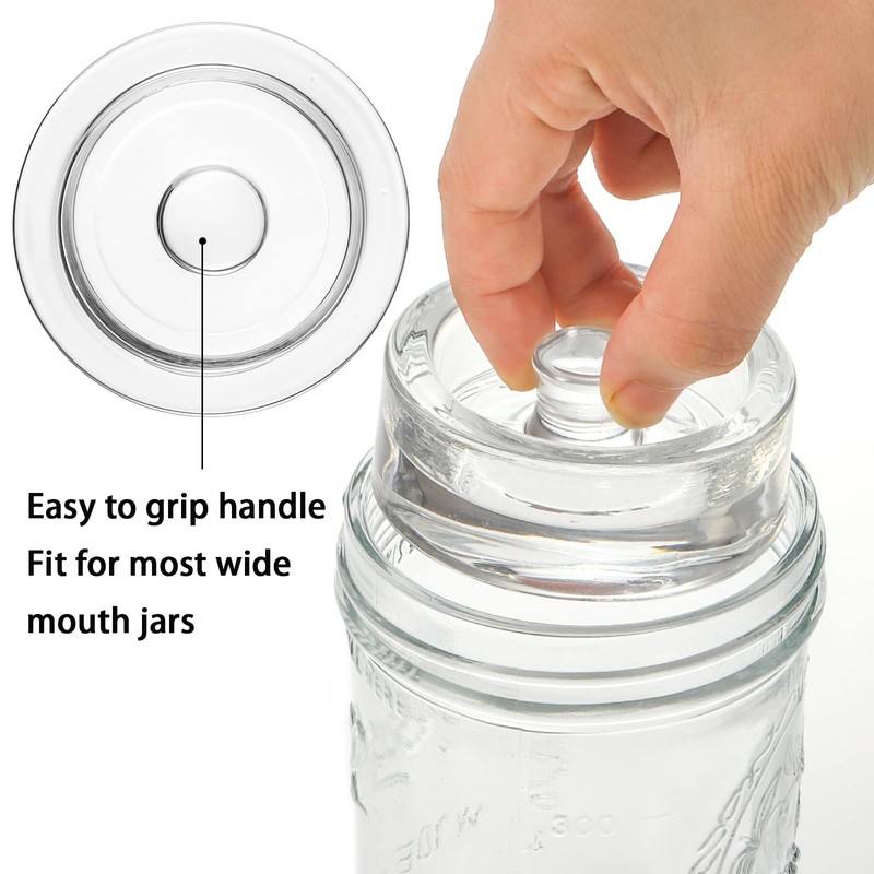 TOPZEA 9 Pack Fermentation Glass Weight with Easy Grip Handle,
