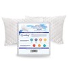 Eutony Pillow Protectors 2 Pack Quilted Zipped - Ultra Luxe