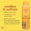 Burts Bee Oatmeal Shampoo, 16-Ounce