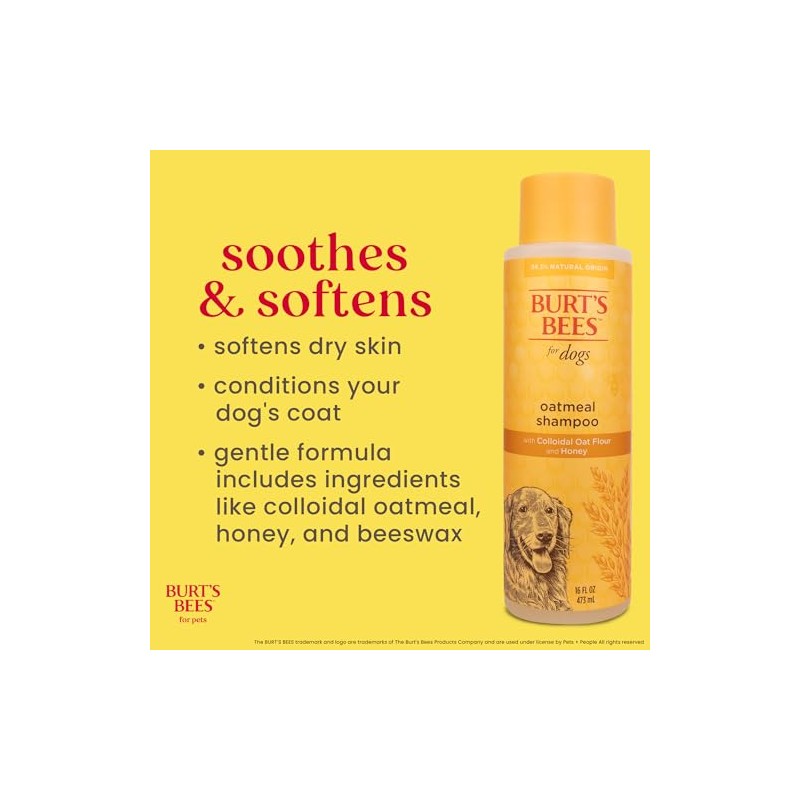 Burts Bee Oatmeal Shampoo, 16-Ounce