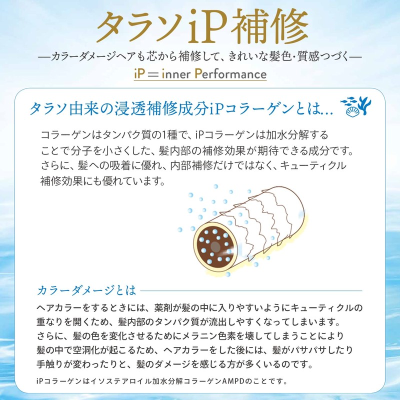 KOSE Je L'aime iP Cod Sol Repair Serum Treatment, Moist