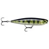 Rapala - Precision bait precision Xtreme pencil plastic construction -