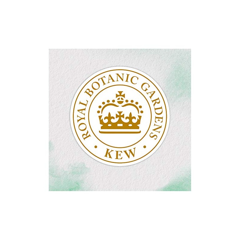 Herbal Essences Pure - Repair Shampoo with Moroccan Argan Oil,