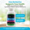 Neuro biologix Neuro biologix Pure Plant-Derived Berberine HCl Supplement C