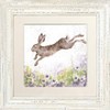 Wrendale Designs Distressed White Rabbit Framed Picture