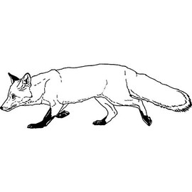 Azeeda A7 'Walking Fox' Unmounted Rubber Stamp (RS00037536)