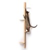 xympo 68" Tall Wall-Mounted Cat Tree – Modern Space-Saving Cat