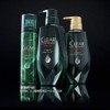 Clear Fourment Total Care Sculpt Shampoo Refill